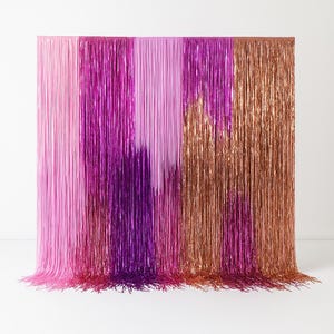 Pink and shimmer Fringe Backdrop, Photo Wall, Streamer Wall, party Decorations, Rainbow Colour Backdrop Party Disco Streamer Backdrop