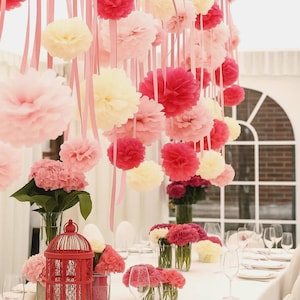 Pink & Ivory Tissue Paper Pom Pom Set: Party Backdrop Decor
