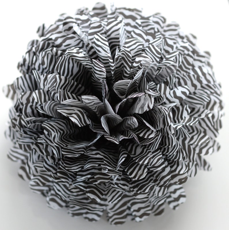Zebra Tissue Paper Pom Poms Zebra Paper Balls Safari Party Etsy
