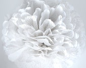 Il_170x135