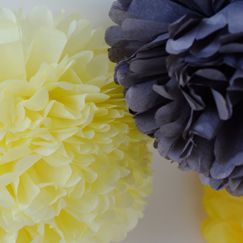 15 mixed sizes paper Pom Poms set Tissue paper pom poms Etsy
