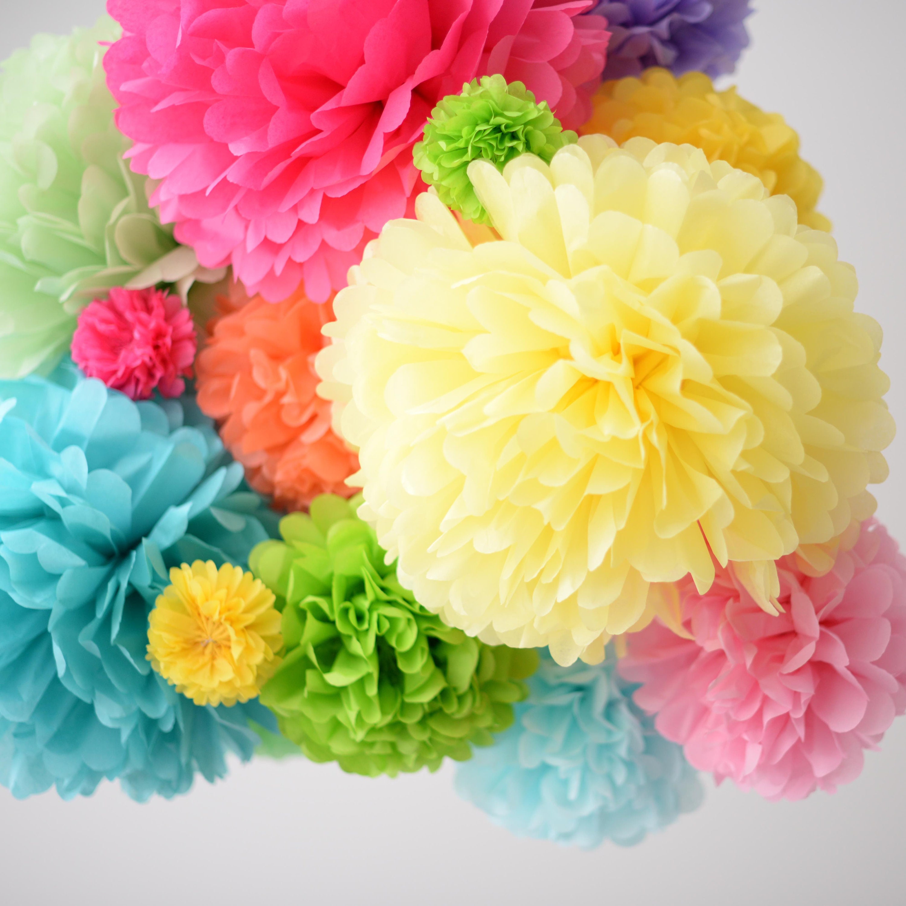 Custom Color Paper Pom Pom: 10