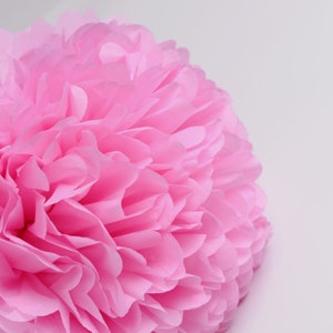Raspberry Pink Tissue Paper Pom Pom: Party Decoration