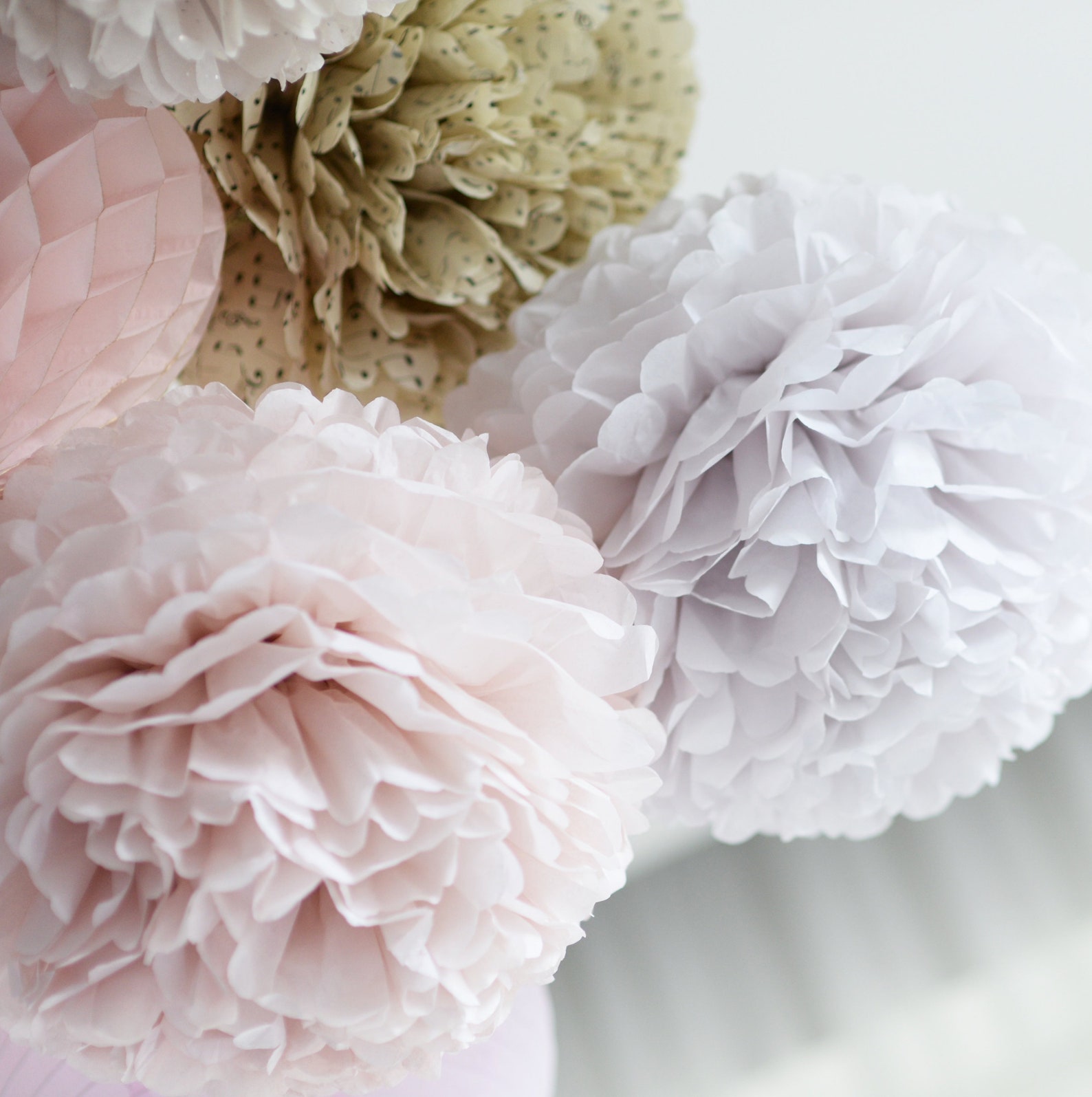 24 Large Size Tissue Paper Pom Poms Set Wedding Pom Poms Etsy