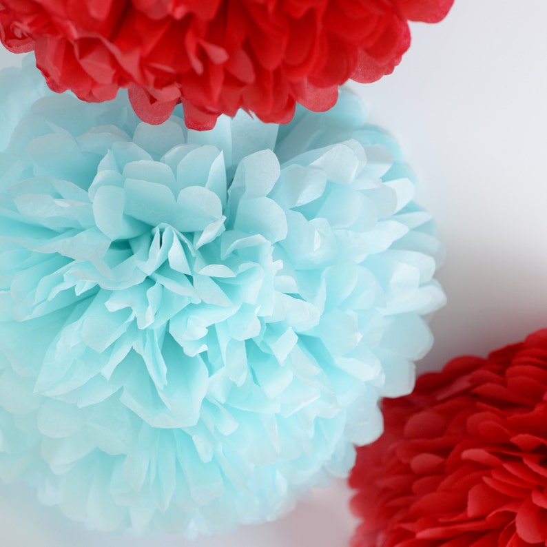 Handmade Tissue Paper Pom Poms, Custom Colors, Party Ceiling Decor image 5