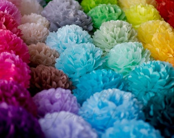 21 Tissue Paper Pom Poms Set – Large, Medium & Small Sizes – Custom Colors – Party Decorations – Wedding, Baby Shower, Birthday Decor
