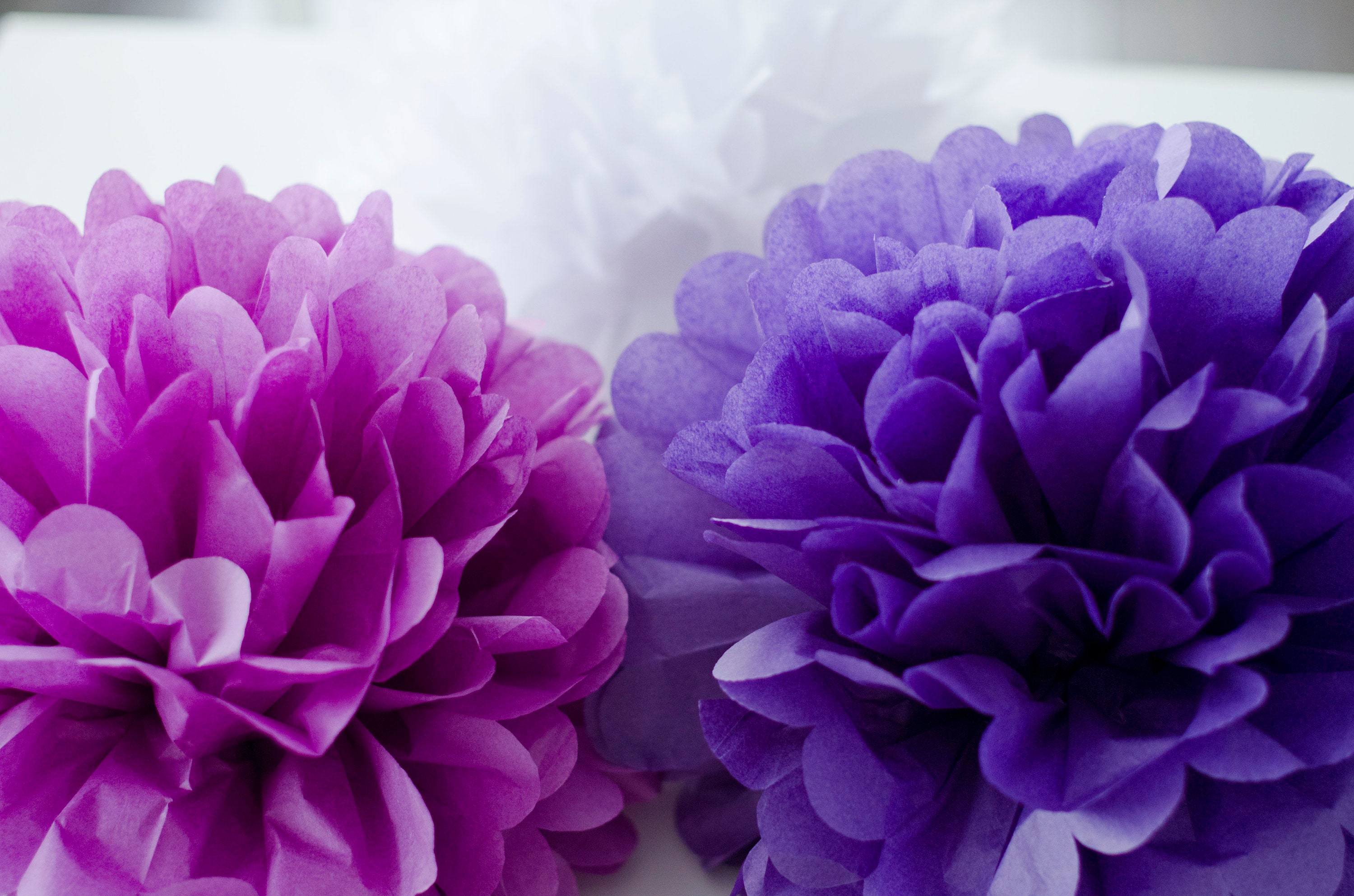 16 pezzi Pompon di carta color fucsia per decorazioni da festa, adatti per Natale, Capodanno, compleanni, matrimoni, festa di nascà, addio al nubilato | SHEIN ALIA