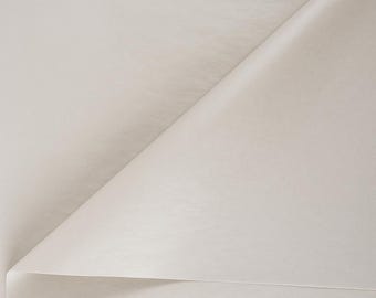 Light Grey Tissue Paper Sheets 20x30 | Acid-Free Recycled Wrapping Paper | Gift Wrap, Packaging & Craft Paper, 20/50/100 Sheets