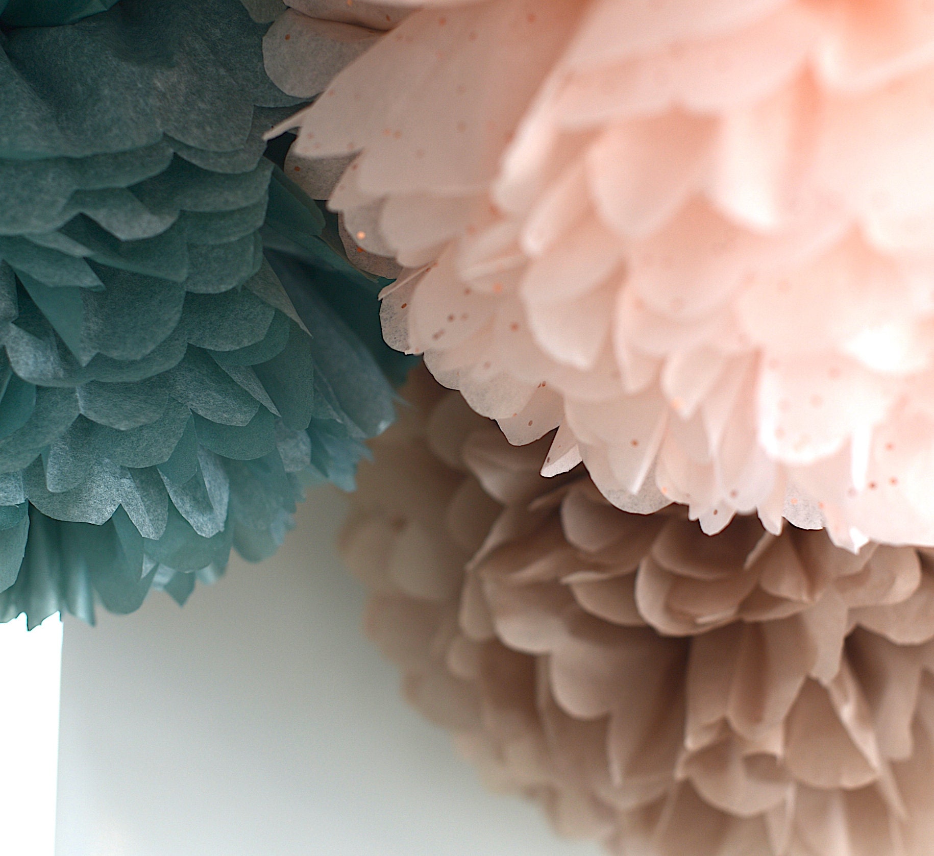 Rose gold paper pom poms Blush paper flowers Birthday Etsy