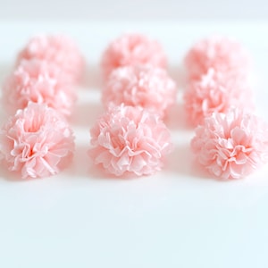 Mini Tissue Paper Pom Poms (Set of 50): Wedding Table Decor