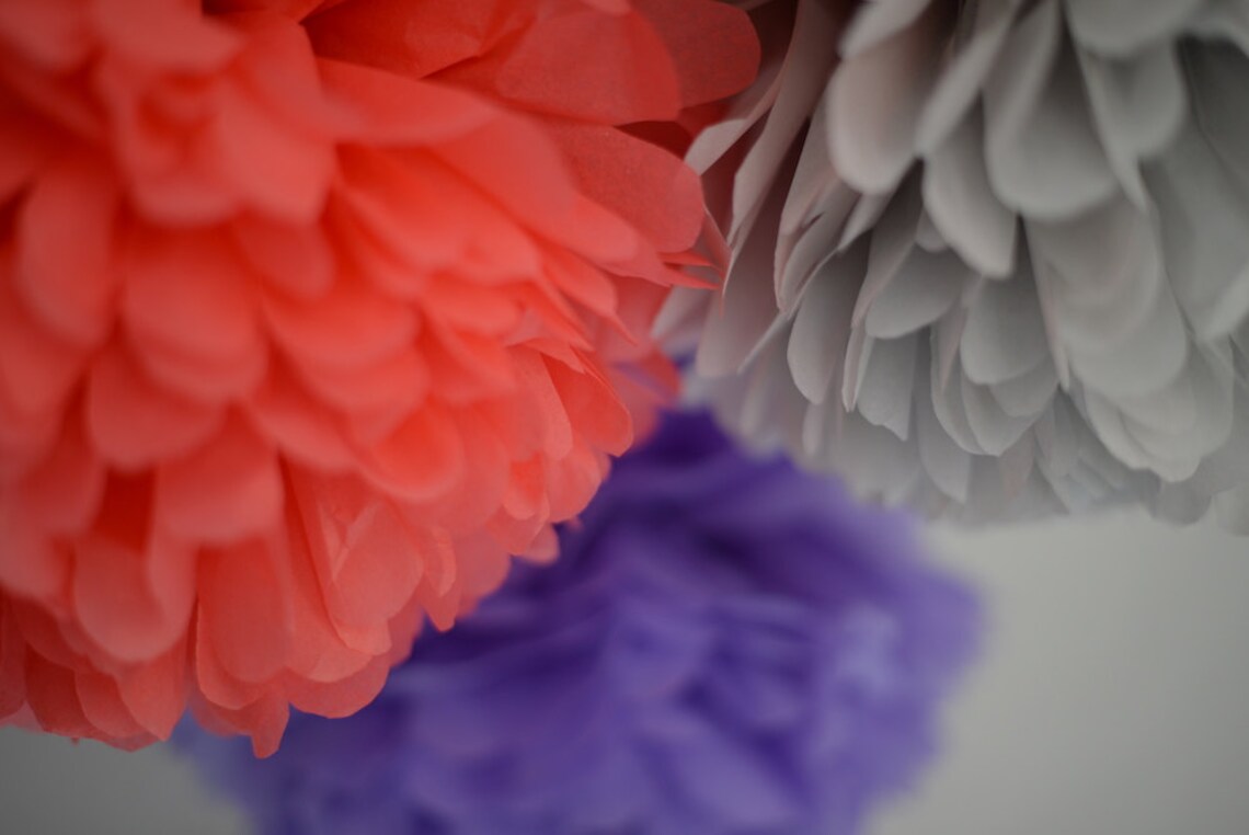 Large paper pom poms set Tissue paper pom poms Paper Etsy