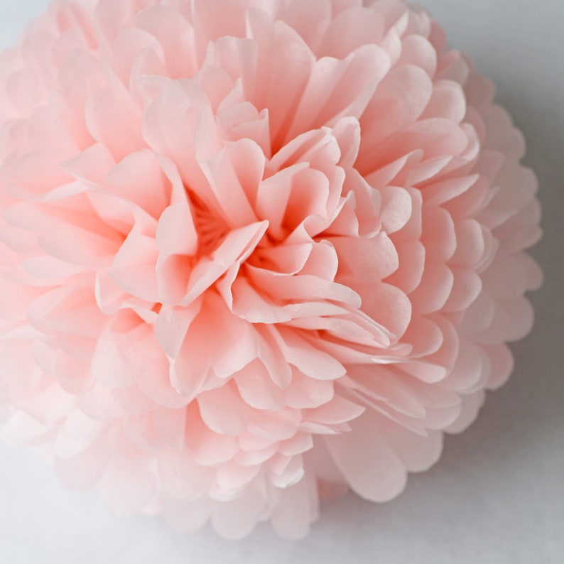Light Pink Paper Pom Pom Pink Paper Flowers Pastel Wedding Etsy UK