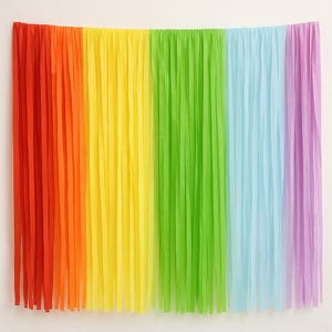 Rainbow fringe curtain Backdrop, Fringe Backdrop, Color Birthday Party Decorations, Photo Backdrop,  party Decorations, photo backdrop