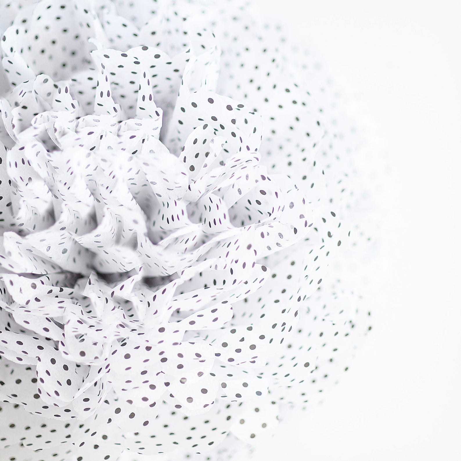 Polka Dot Tissue Paper Pom Pom Black&white Party Pom Poms Etsy