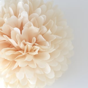 Decorazioni per feste con pompon in carta velina beige, fatte a mano, molto soffici, colore neutro, decorazioni sostenibili per feste di compleanno e baby shower