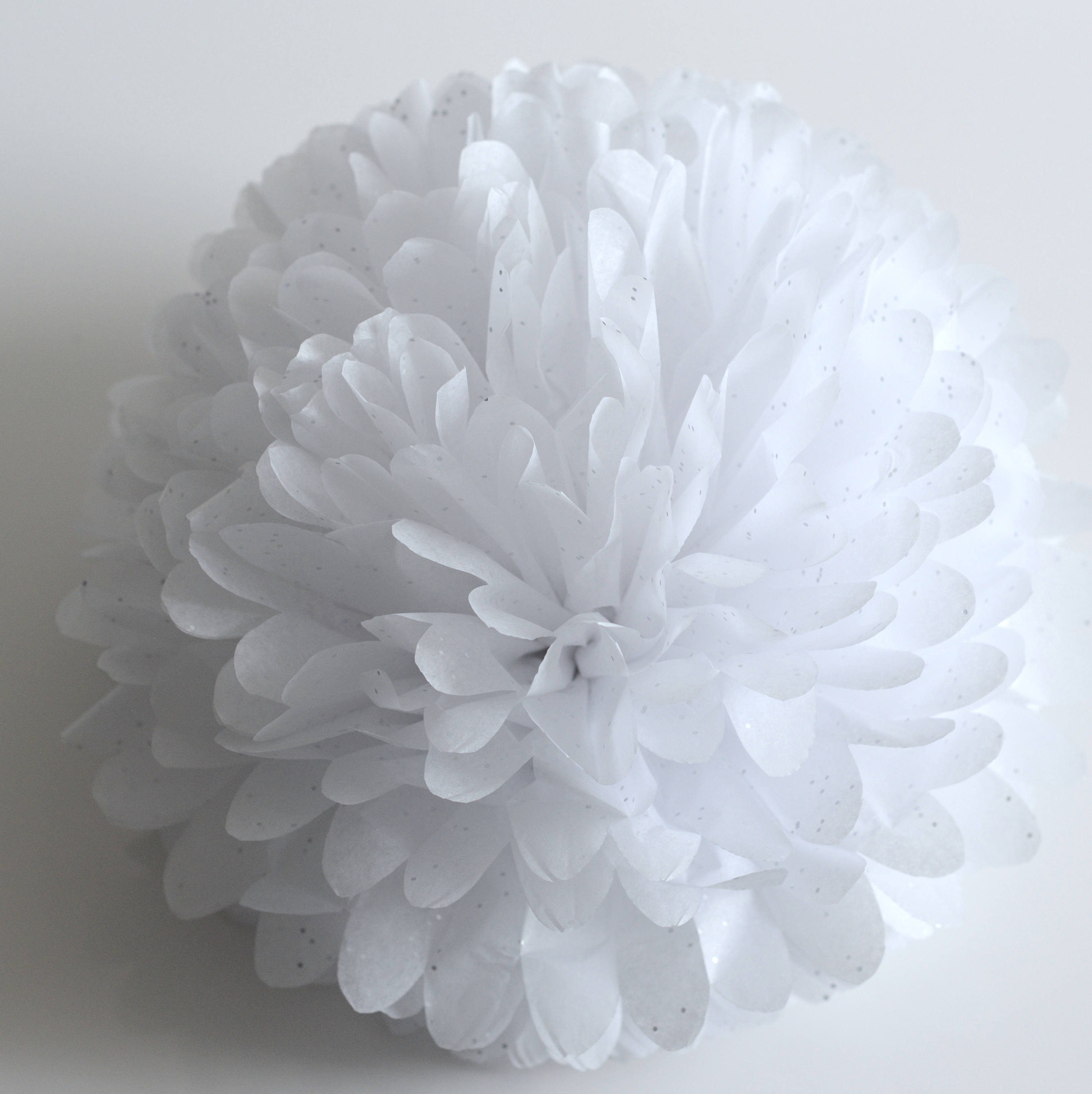 White 15 mixed sizes tissue paper Pom Poms set Wedding pom Etsy