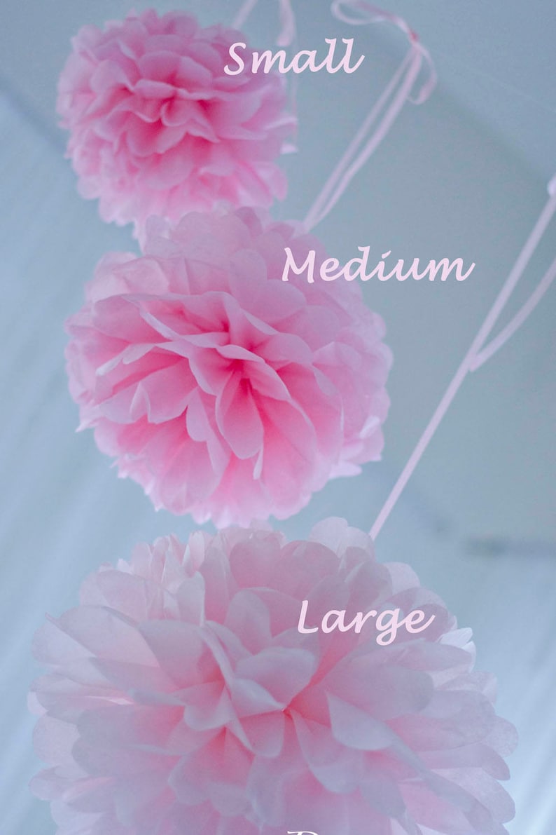 Blush Tissue Paper Pom Poms Set of 10 Mixed Size Pastel Etsy UK