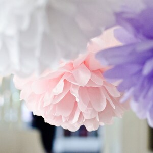 Set di 3 grandi pompon di carta / Pompon di carta velina / Grandi fiori di carta / Decorazioni di carta / Decorazioni per matrimoni personalizzabili