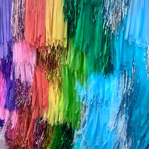 Custom color Fringe wall Backdrop, Photo Wall, Streamer Wall, party Decorations, Rainbow Colour Backdrop Party Disco Streamer Backdrop