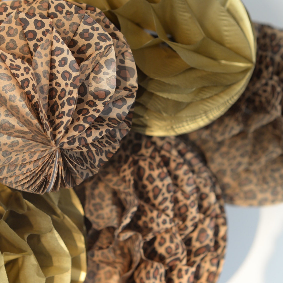 Leopard print paper pom poms set Safari party decor Jungle Etsy
