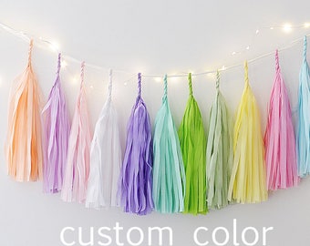 Custom color Tissue paper tassel garland Colourful fringe garland Birthday party banner fully assembled no DIY required Ready to use