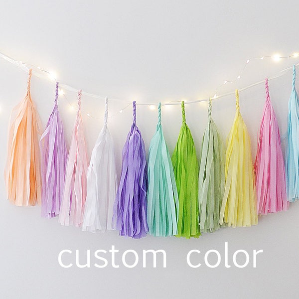 Custom color Tissue paper tassel garland Colourful fringe garland Birthday party banner fully assembled no DIY required Ready to use