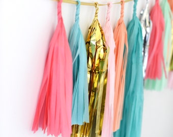 Girls Just Wanna Have Fun Fringe Tissue Tassel Garland Kit or Fully As –  Wants and Wishes