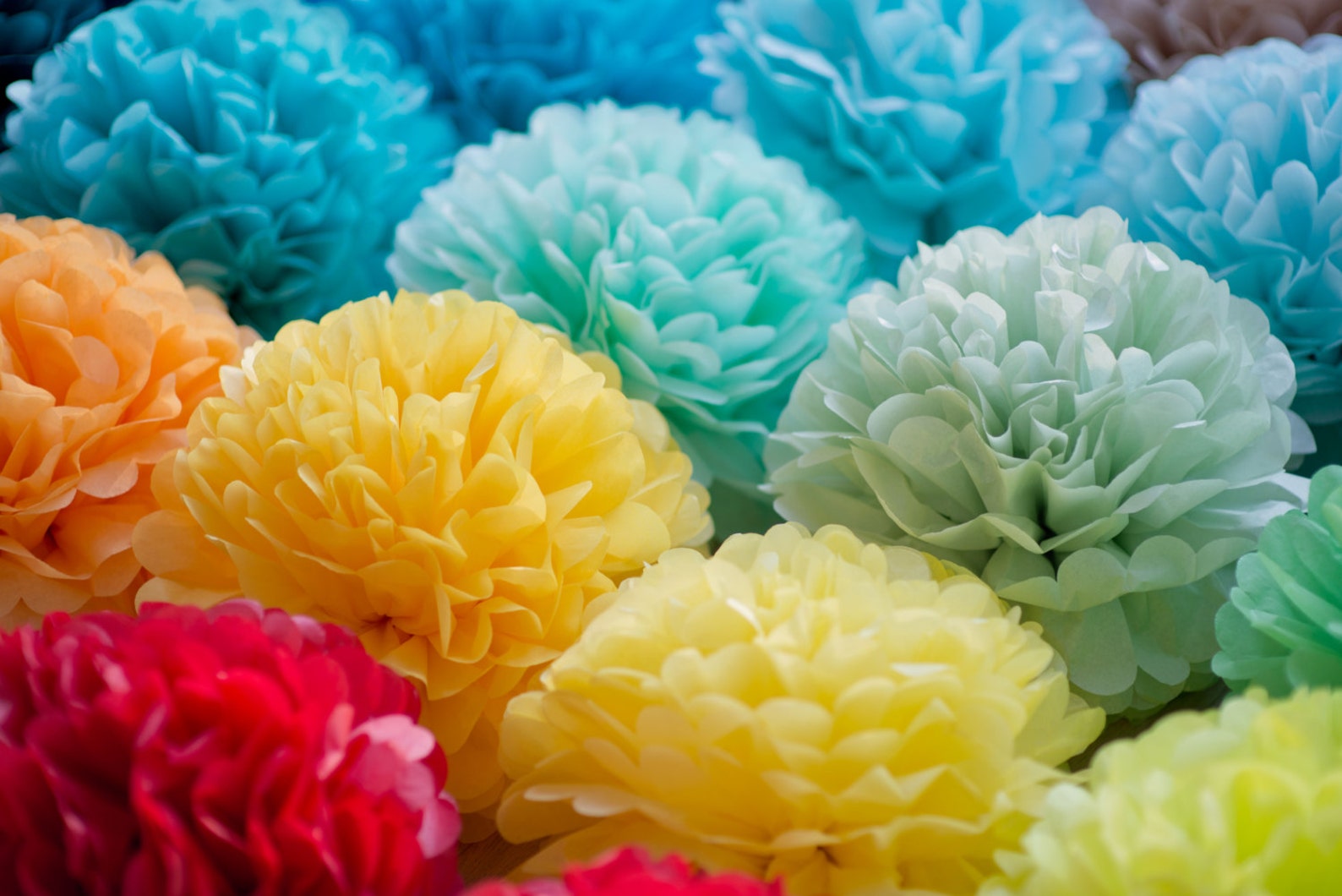 Tissue Paper Flowers Wedding Decorations Birthday Etsy