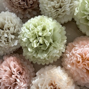Set di 16 pompon di carta / rosa cipria, neutro e menta pallido Pompon di carta velina / pastello Fiori di carta / Decorazioni per matrimoni