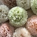 see more listings in the Tissue pompom value sets section