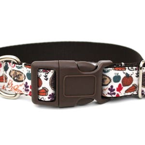 May include: A white dog collar with a brown buckle and a colorful pattern of fall-themed illustrations, including pumpkins, leaves, and pies.
