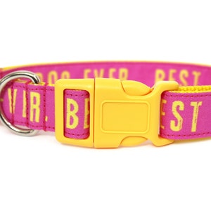 Best Dog Ever Dog Collar 1 Pink Dog Collar image 3