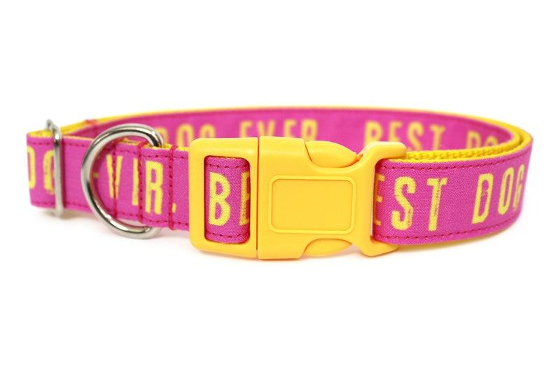 Best Dog Ever Dog Collar 1 Pink Dog Collar image 3