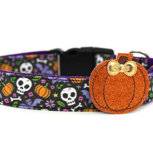 May include: A Halloween-themed dog collar with a black background featuring white skulls, orange pumpkins, purple bats, and flowers. The collar has a glittery orange pumpkin charm with a gold bow. The collar is approximately 1 inch wide.