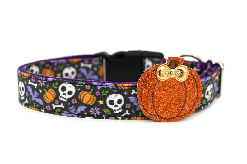 May include: A Halloween-themed dog collar with a black background featuring white skulls, orange pumpkins, purple bats, and flowers. The collar has a glittery orange pumpkin charm with a gold bow. The collar is approximately 1 inch wide.