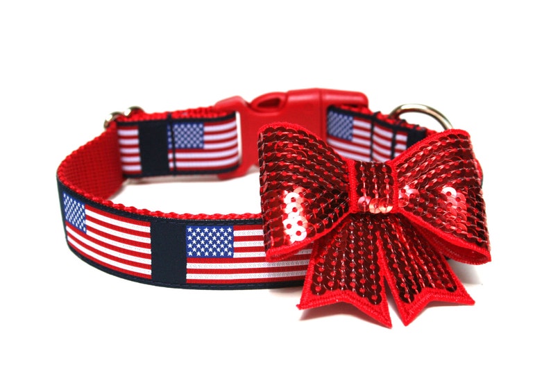 Patriotic Dog Collar 5/8 or 1 American Dog Collar image 2