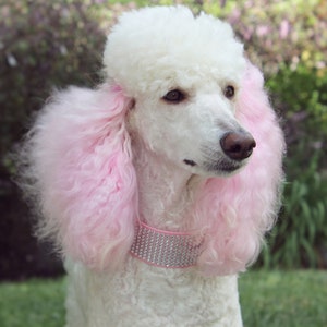 Rhinestone Martingale Dog Collar 2 Pink Glitter Dog Collar image 6
