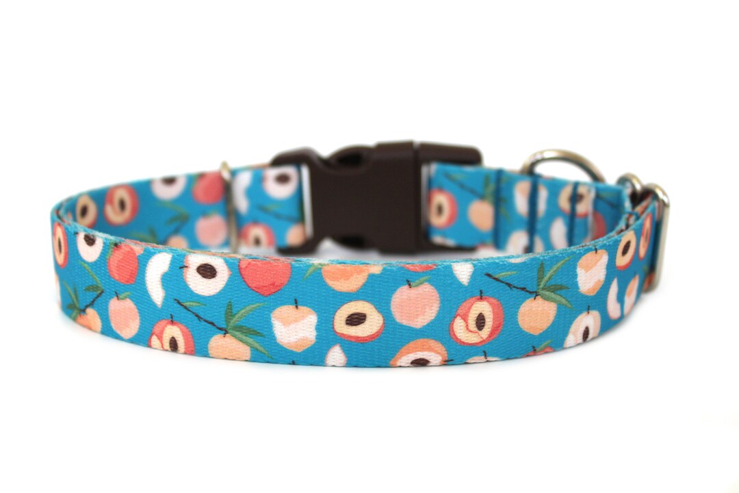 Peach Dog Collar 1 Peaches Dog Collar Turquoise Dog Etsy