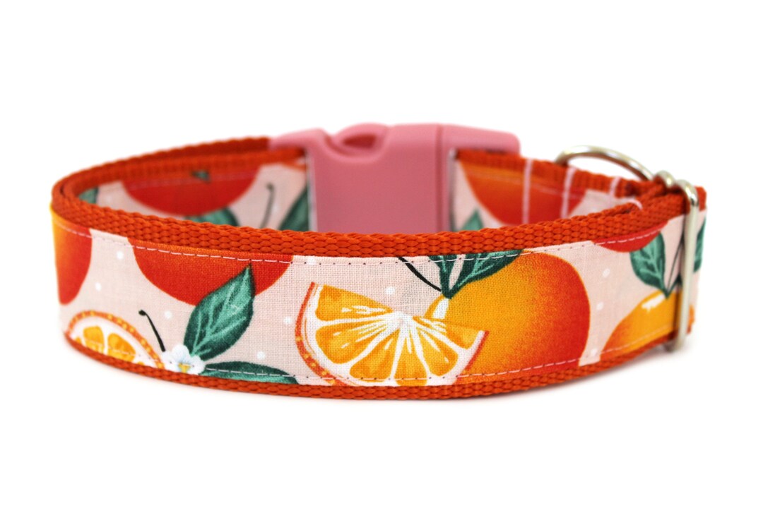 Summer Dog Collar 1 or 1.5 Wide Orange Dog Collar Etsy