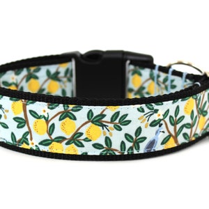 Lemon Dog Collar 1&quot; or 1.5&quot; Summer Dog Collar
