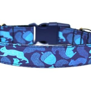 Squirrel Dog Collar 1"  or 1.5" Fall Dog Collar Boy Dog Collar