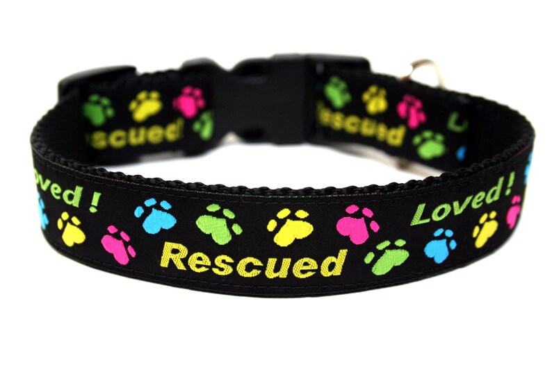 May include: Black dog collar with colorful paw prints and the words "Rescued" and "Loved!" in yellow and green. The collar has a black plastic buckle.