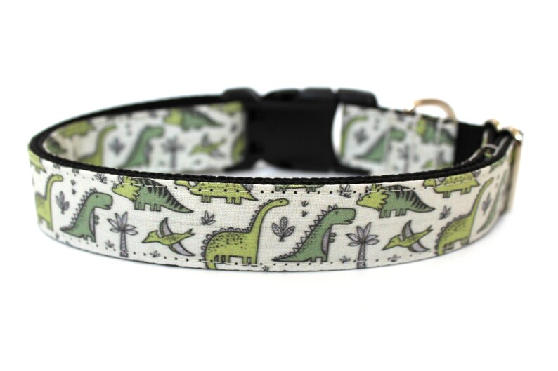Dinosaur Dog Collar 1 Jurassic Dog Collar Etsy