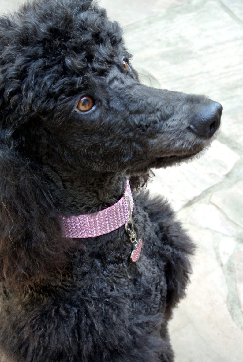 Rhinestone Dog Collar 1.5 Pink Dog Collar image 3