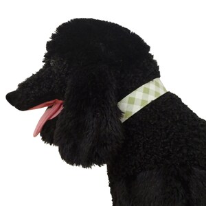 May include: A plush black dog with a pink tongue and a light green and white checkered collar. The dog's fur is thick and textured, and the collar adds a touch of style. The dog is a stuffed animal.