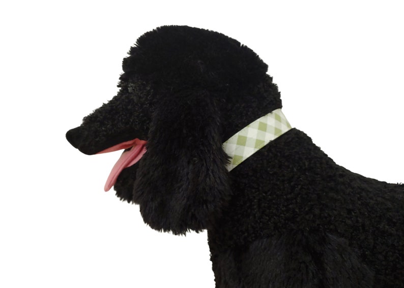 May include: A plush black dog with a pink tongue and a light green and white checkered collar. The dog's fur is thick and textured, and the collar adds a touch of style. The dog is a stuffed animal.