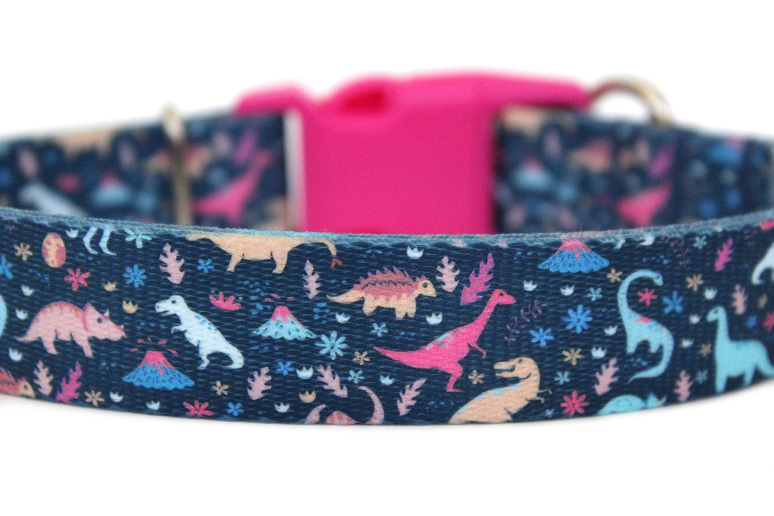 Dinosaur Dog Collar 1 Dino Dog Collar Etsy