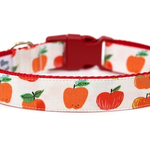 Apple Dog Collar 1&quot; Fall Dog Collar