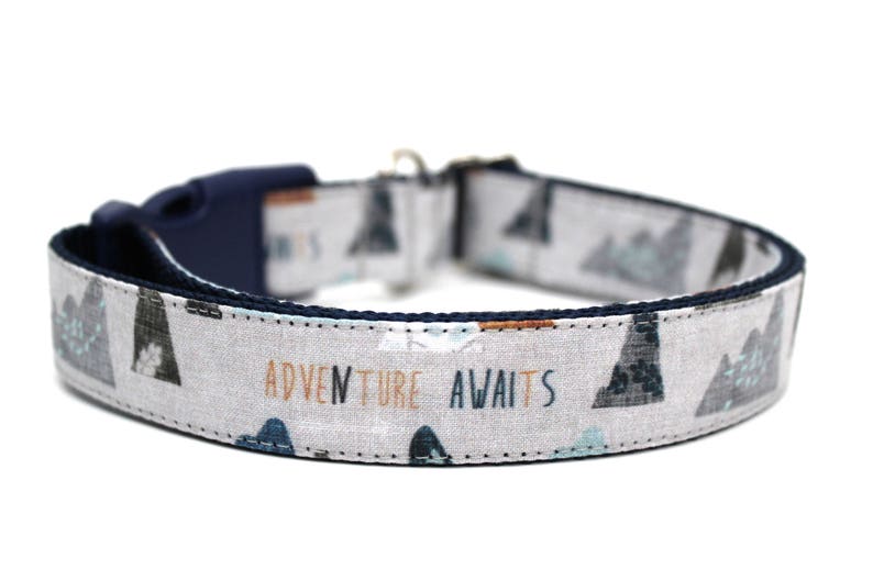 Boy Dog Collar 3/4 or 1 Adventure Dog Collar Mountain Dog Collar Outdoors Dog Collar image 3