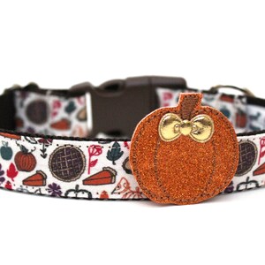 May include: A white dog collar with a brown buckle and a brown pumpkin charm. The collar is decorated with a pattern of fall-themed images, including pies, pumpkins, and leaves.